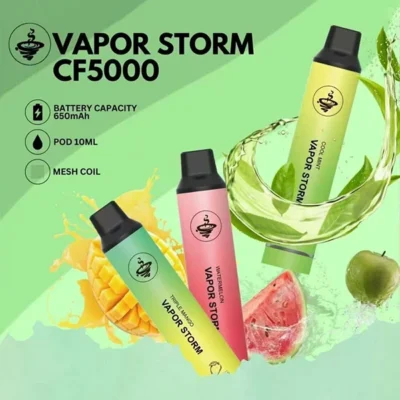 VAPOR STORM 5000 PUFFS 拋棄式電子菸 拋棄式電子煙 產品實拍 2